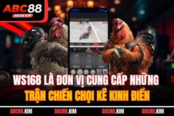 WS168 là đơn vị cung cấp những trận chiến chọi kê kinh điển